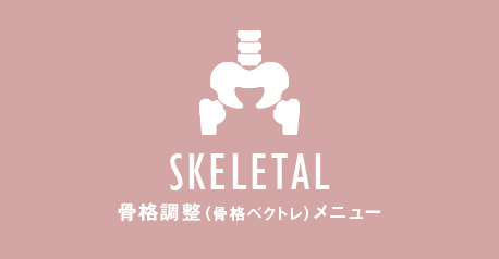 骨格調整(骨格ベクトレ)